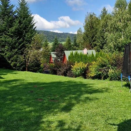 Domki Pod Kiczera W Baligrodzie, Bieszczady Eksteriør billede